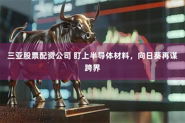 三亚股票配资公司 盯上半导体材料，向日葵再谋跨界